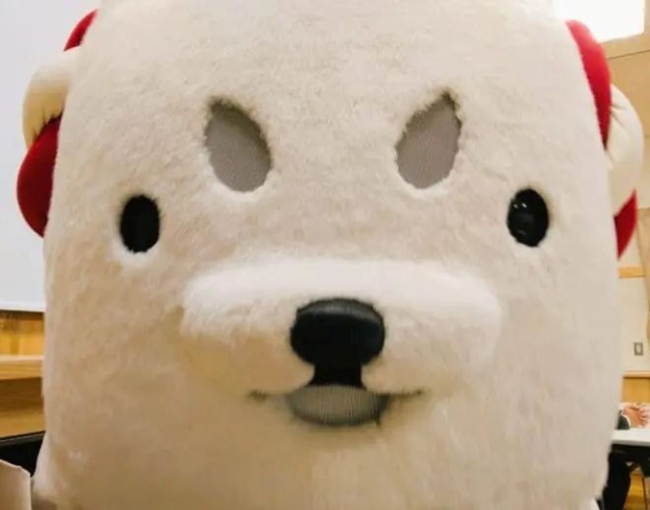 shippeiしっぺい磐田市shippei
