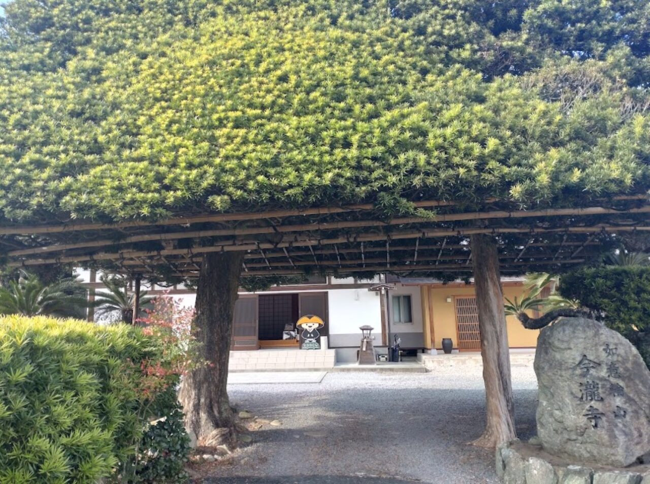 掛川市今滝今瀧寺御朱印限定