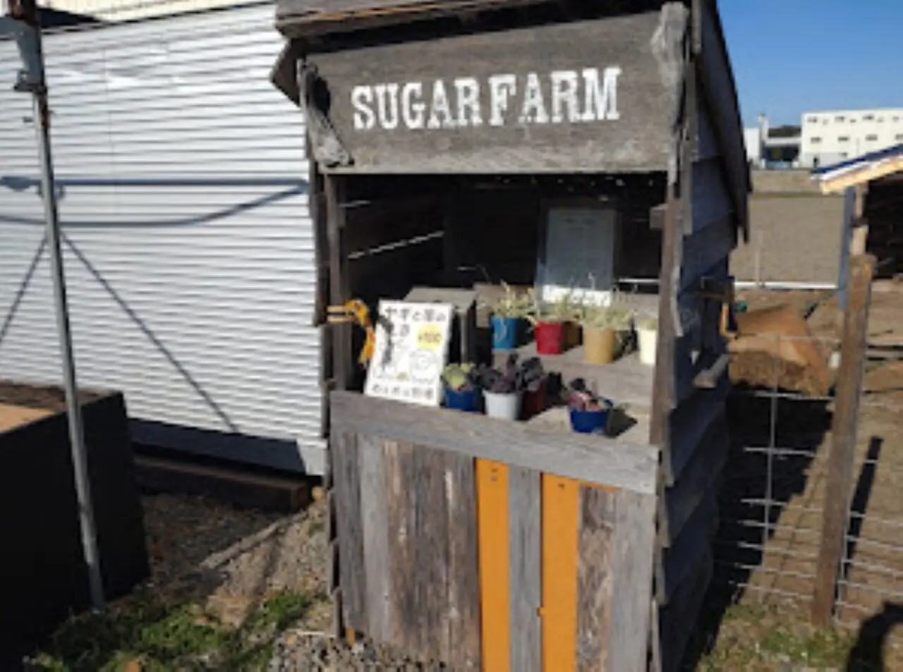 掛川市ぬくもりの郷めえめえ牧場やぎの赤ちゃん