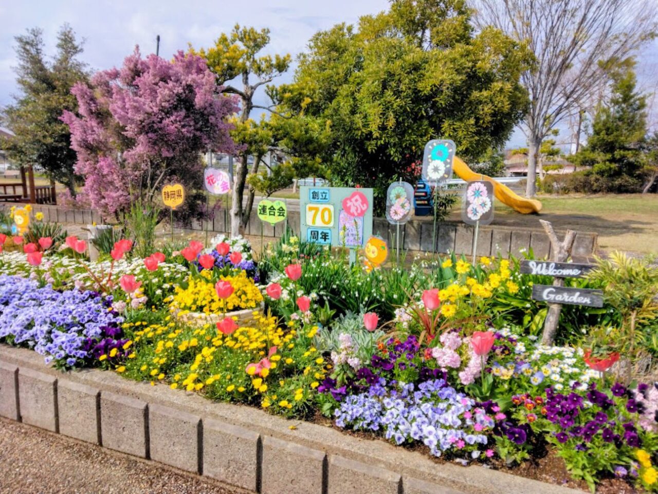 袋井市高尾町公園花カラフルな花高尾takaopark