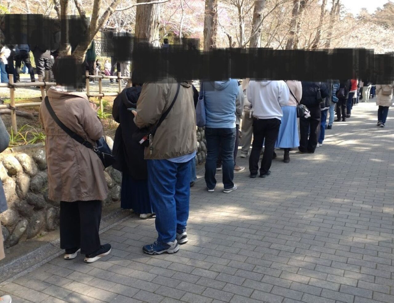 袋井市豊沢法多山さくらだんご桜だんご限定団子