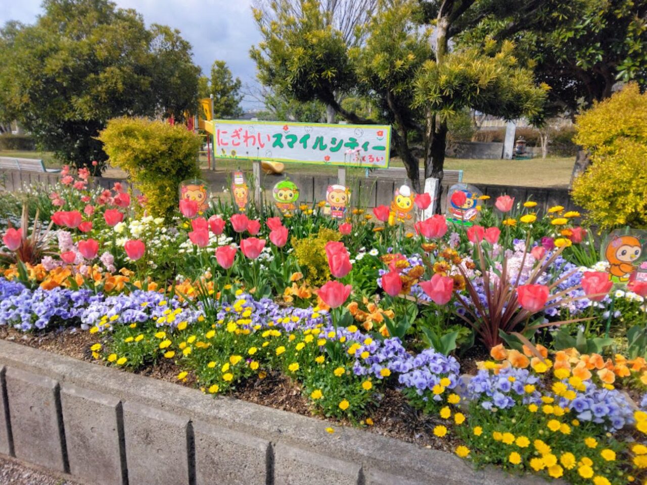 袋井市高尾町公園花カラフルな花高尾takaopark