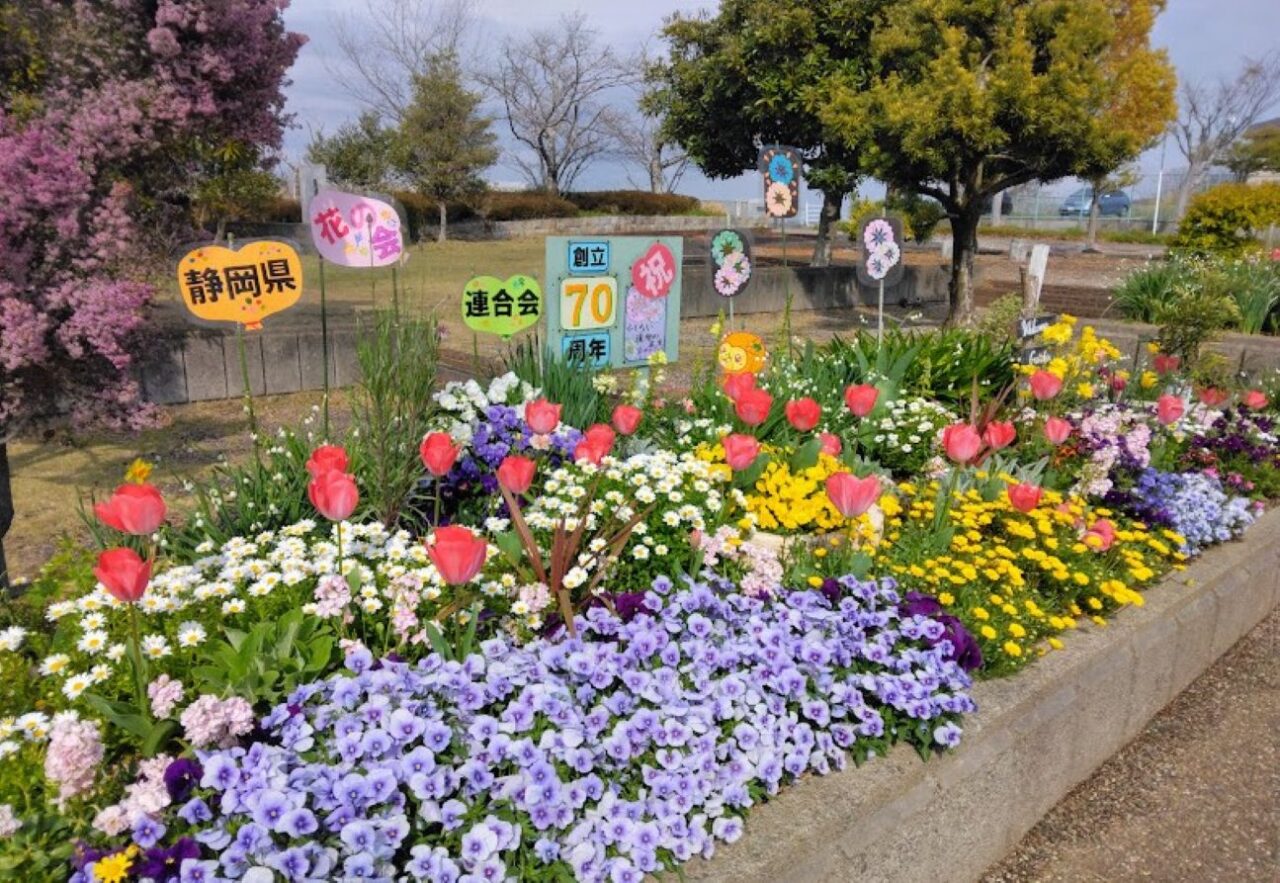 袋井市高尾町公園花カラフルな花高尾takaopark