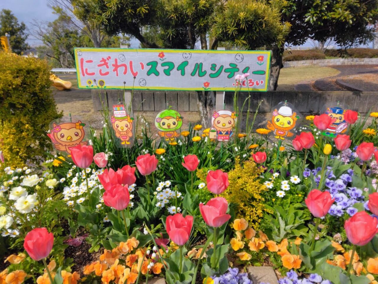 袋井市高尾町公園花カラフルな花高尾takaopark