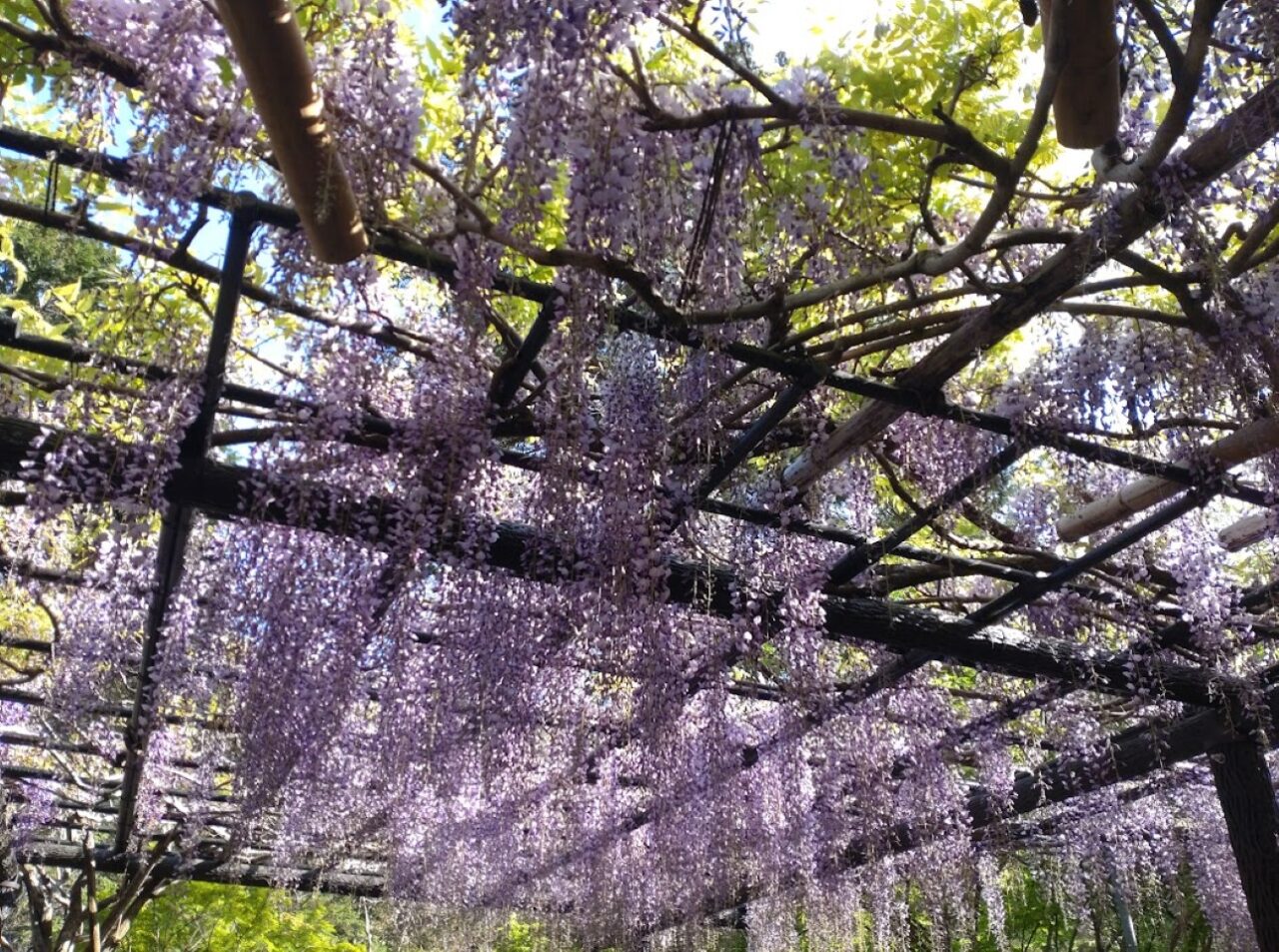 袋井市豊沢新緑まつり法多山尊永寺袋井市観光名所観光寺