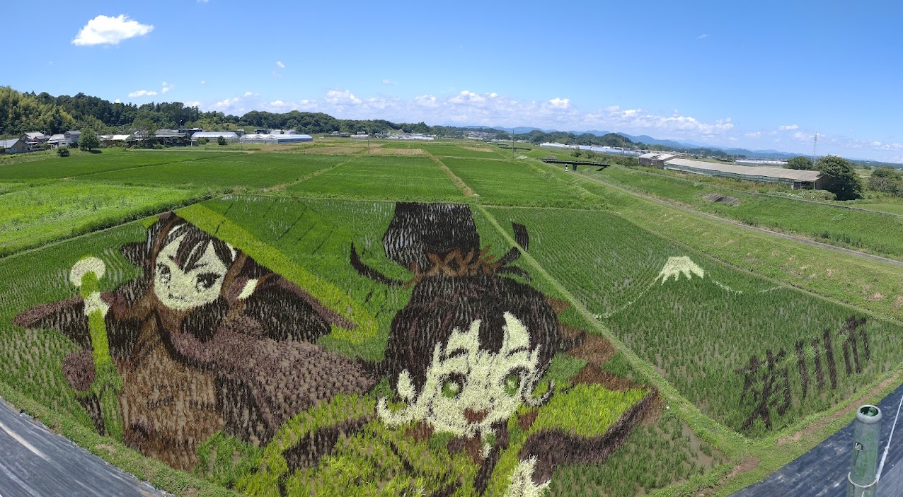 田んぼアート菊川2026年田んぼアート