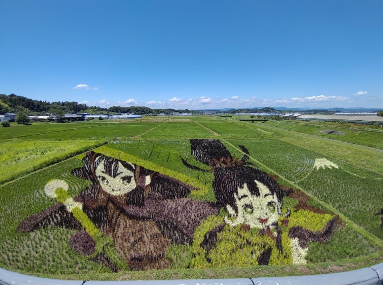 田んぼアート菊川2026年田んぼアート