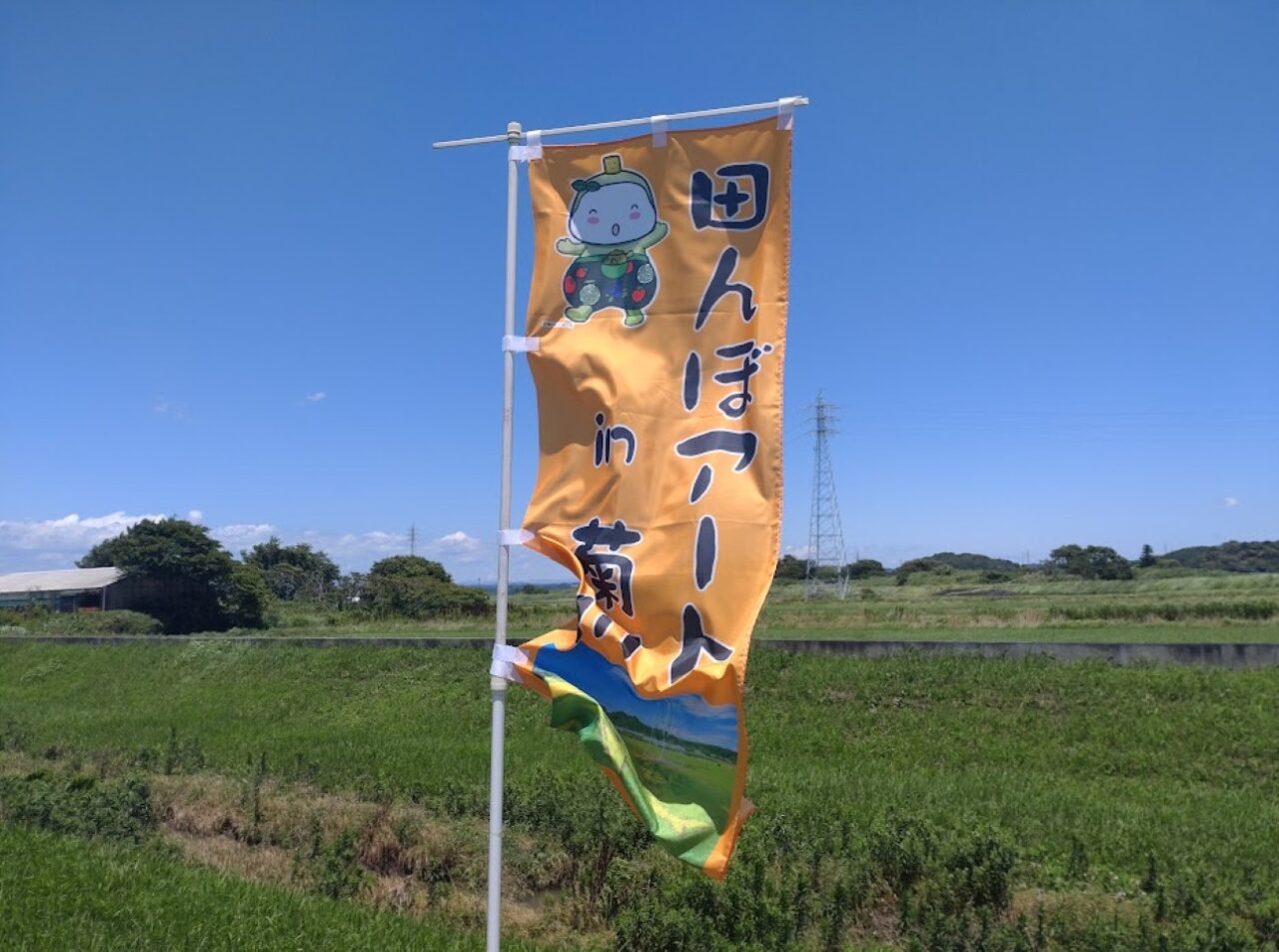田んぼアート菊川2026年田んぼアート
