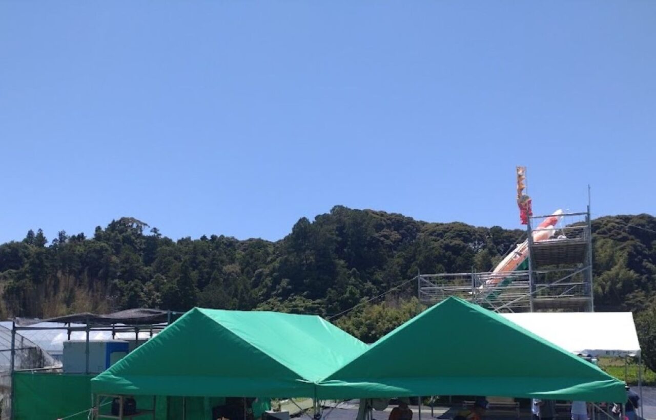 田んぼアート菊川2026年田んぼアート