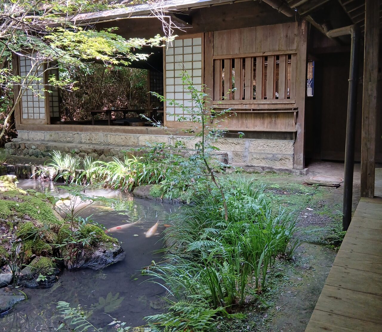 掛川市原里加茂荘花鳥園内味噌蔵カフェ 桑源亭営業再開