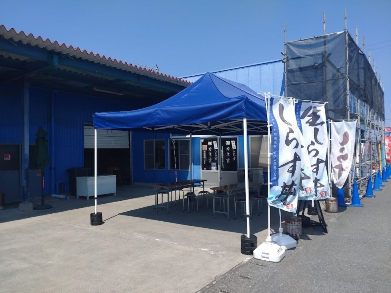 磐田市豊浜福田漁港近かね吉商店食堂しらす食堂しらす丼