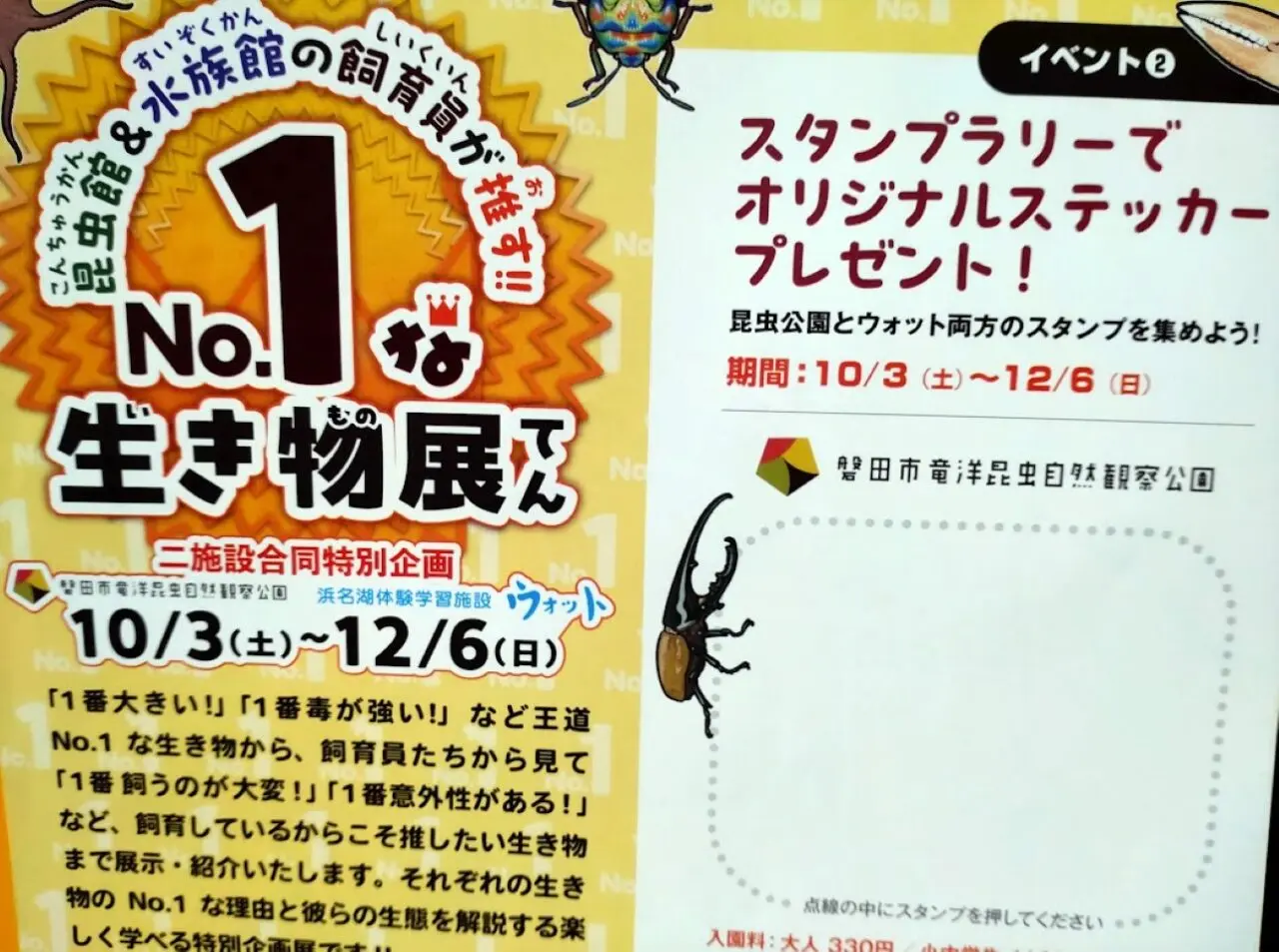 磐田市竜洋昆虫自然観察公園浜名湖体験学習施設「ウォット」合同企画「No.1な生き物展」開催
